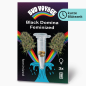 Preview: Black Domina