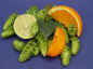 Preview: Dolde Mandarina
