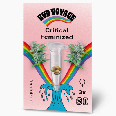 Critical