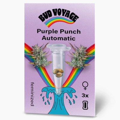 Purple Punch