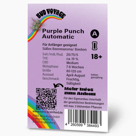 Purple Punch