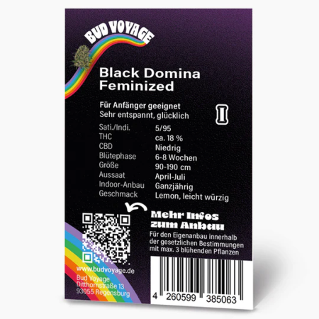 Black Domina