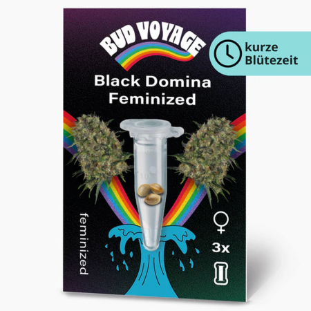 Black Domina